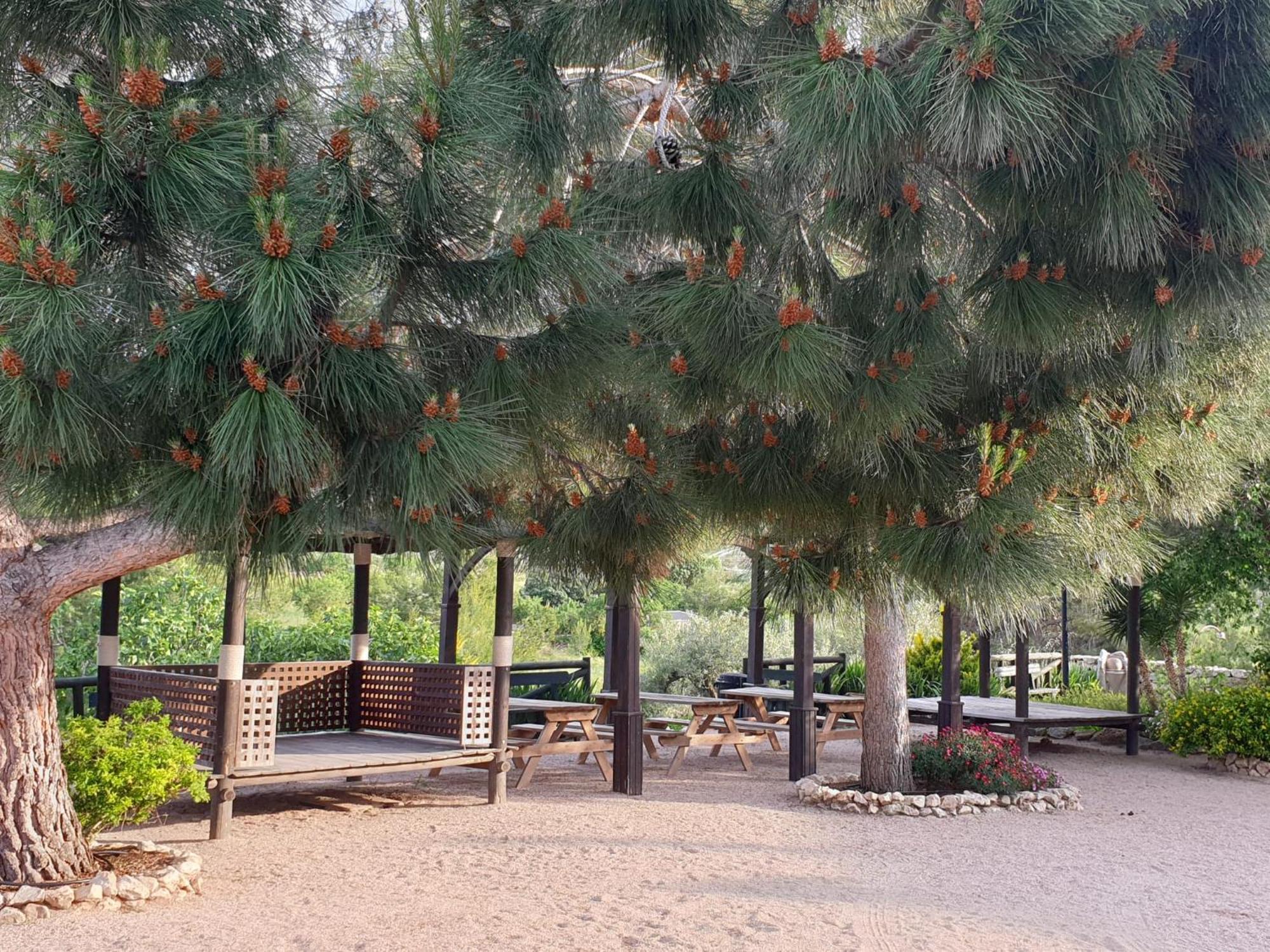 Complejo Rural Las Lomas De บิยาร์ ภายนอก รูปภาพ